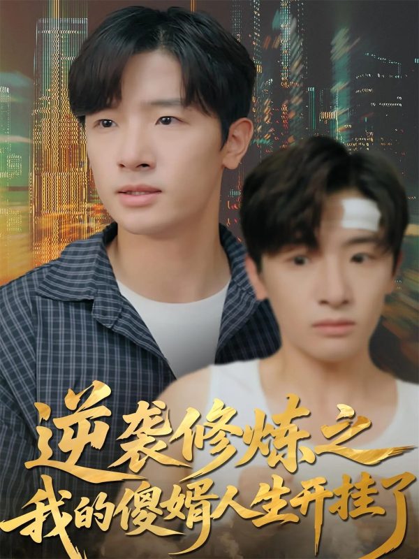 《逆袭修炼之我的傻婿人生开挂了》-VIP部落
