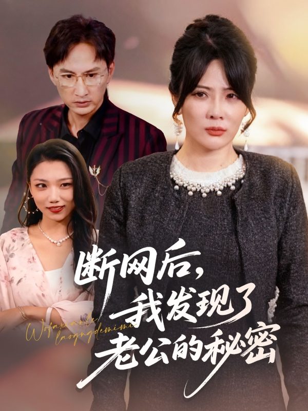 《断网后我发现了老公的秘密》-VIP部落