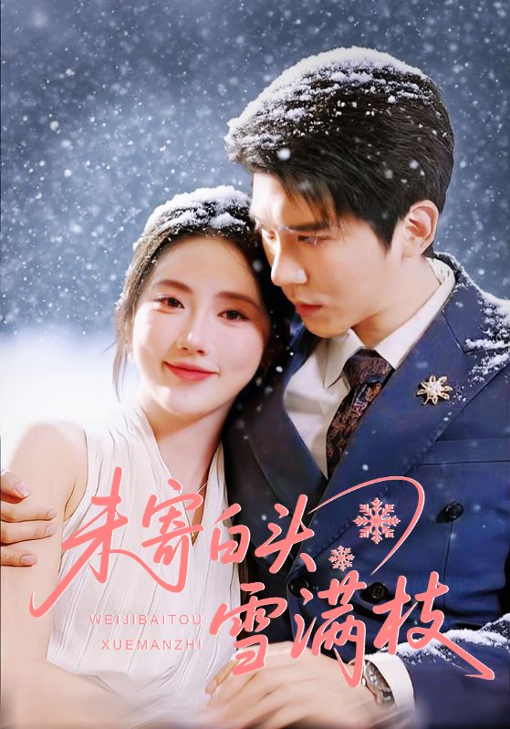 《未寄白头雪满枝》-VIP部落