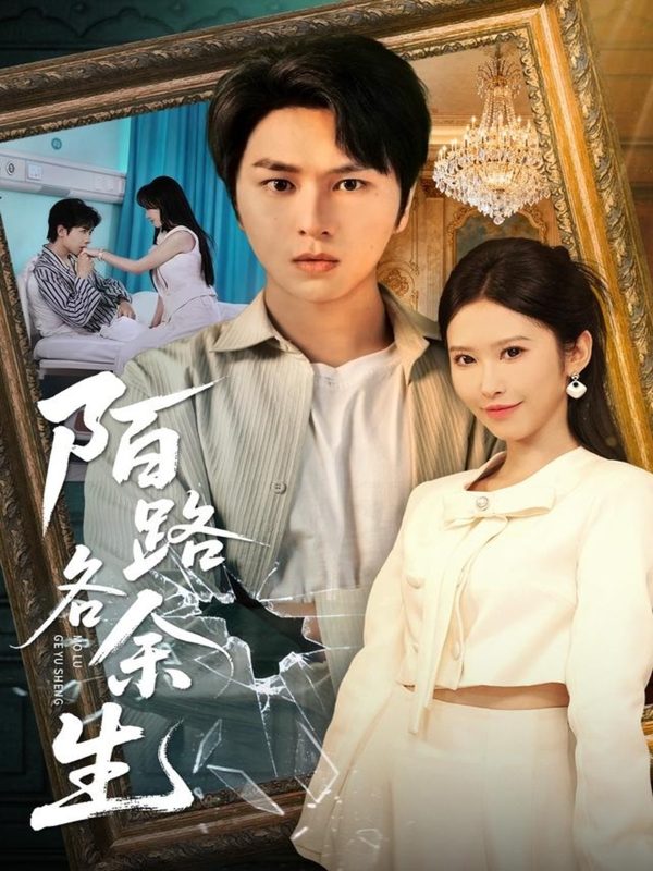 《陌路各余生》-VIP部落