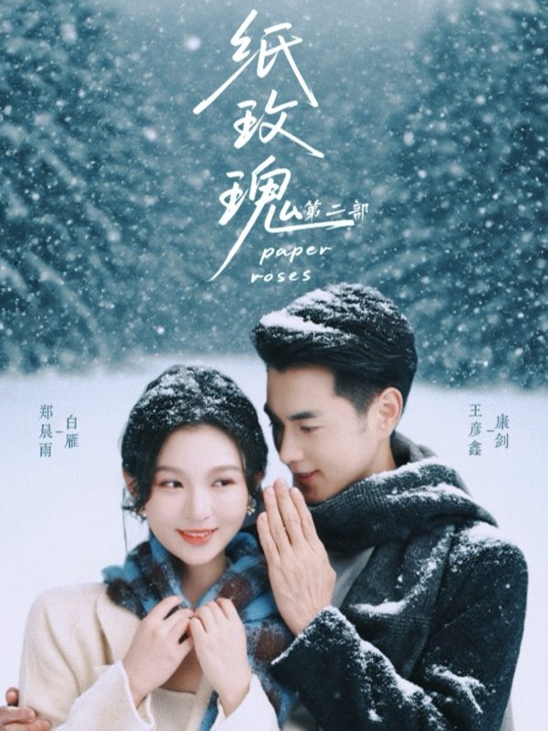 《纸玫瑰2》-VIP部落