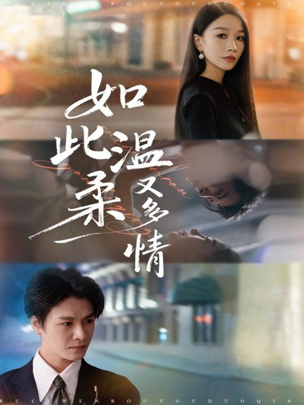 《如此温柔又多情》-VIP部落