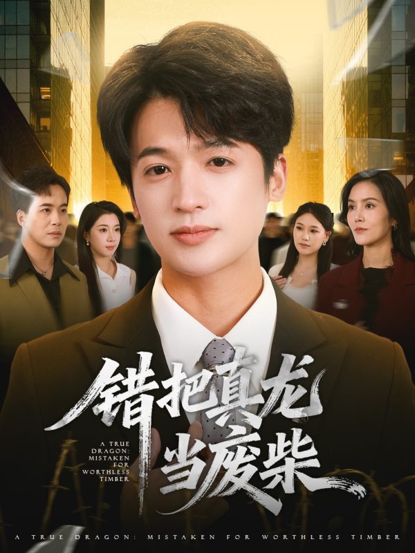 《错把真龙当废柴》-VIP部落
