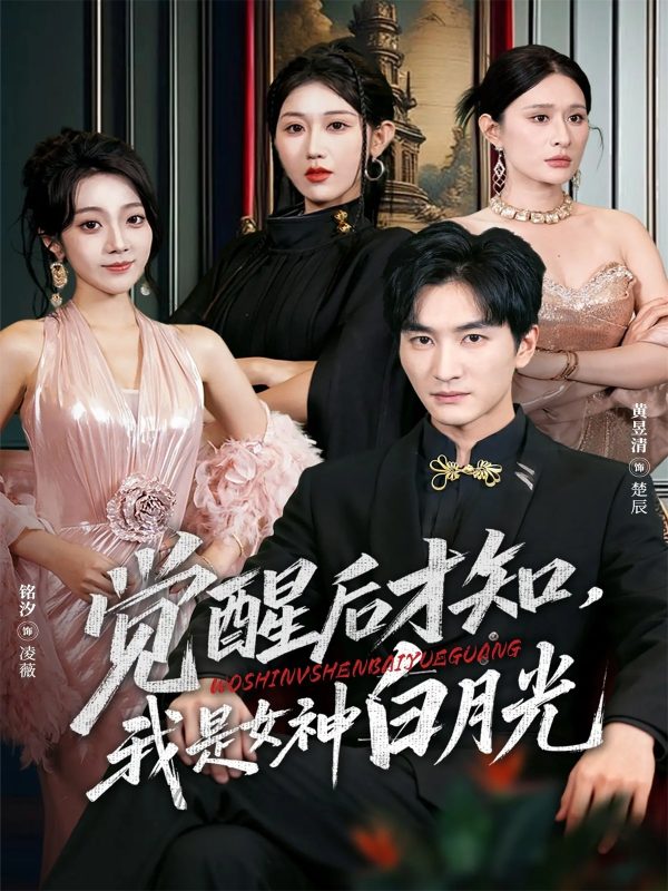 《觉醒后才知我是女神白月光》-VIP部落
