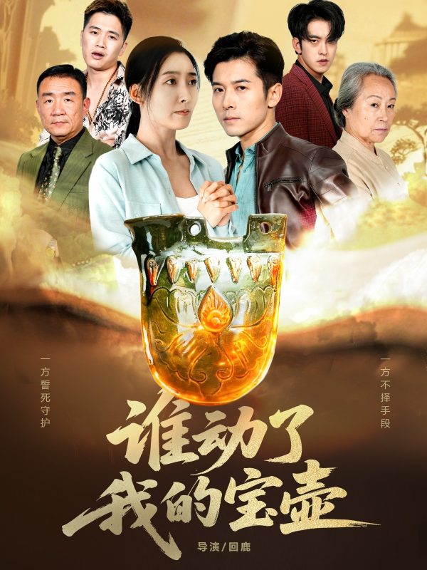 《谁动了我的宝壶》-VIP部落