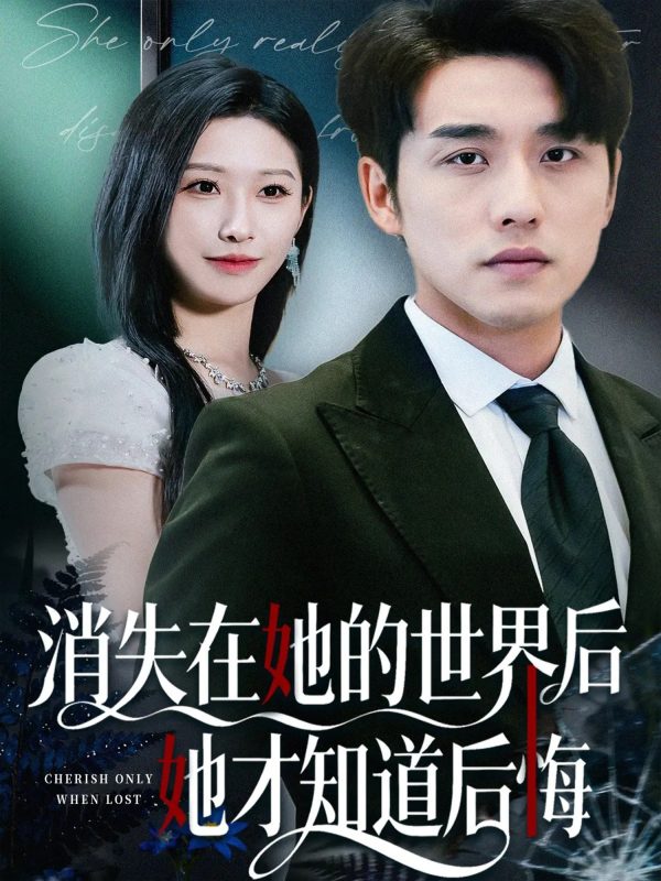 《消失在她的世界后她才知道后悔》-VIP部落