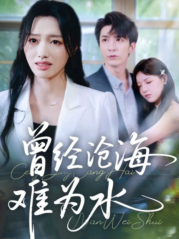 《曾经沧海难为水》-VIP部落