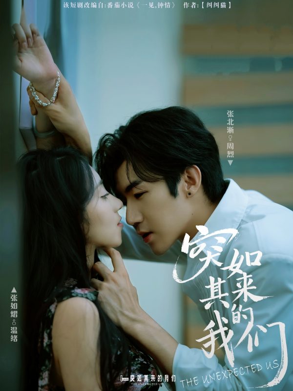 《突如其来的我们》-VIP部落