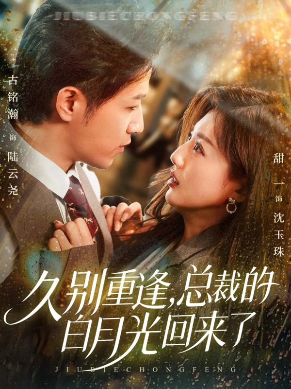《久别重逢，总裁的白月光回来了》-VIP部落