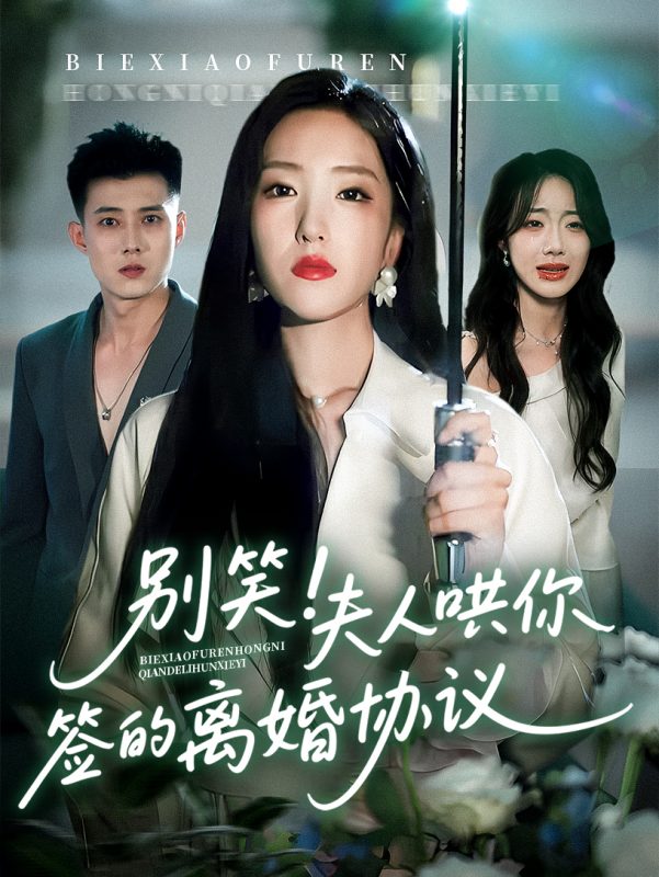 《别笑夫人哄你签的离婚协议》-VIP部落