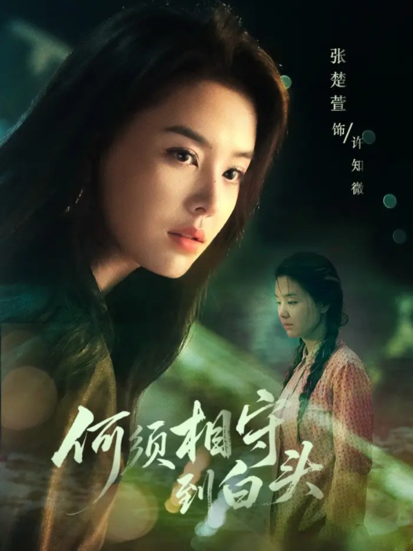 《何须相守到白头》-VIP部落