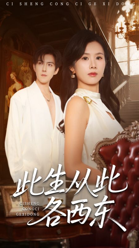 《此生从此各西东》-VIP部落