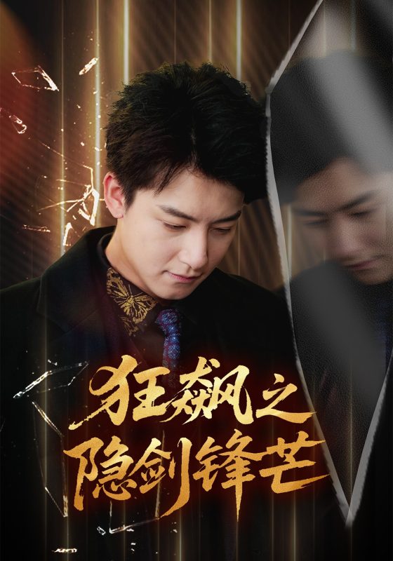 《狂飙之隐剑锋芒》-VIP部落