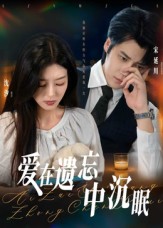 《爱在遗忘中沉眠》-VIP部落