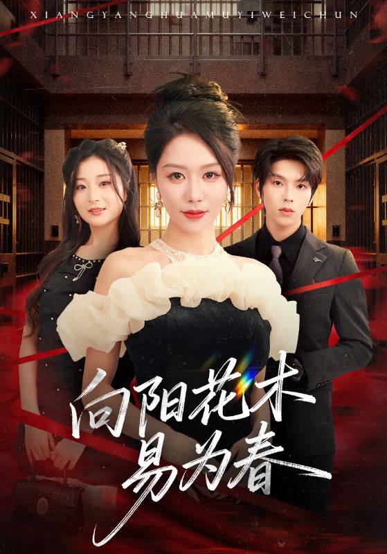 《新：向阳花木易为春》-VIP部落
