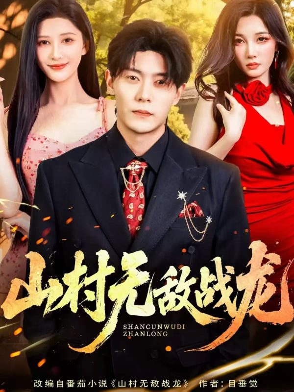 《山村无敌战龙》-VIP部落
