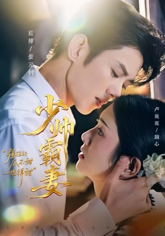 《少帅霸妻，强扭的瓜不甜也得甜》-VIP部落