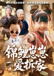 《锦鲤崽崽爱拆家》-VIP部落