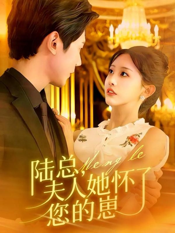 《陆总，夫人她怀了您的崽》-VIP部落
