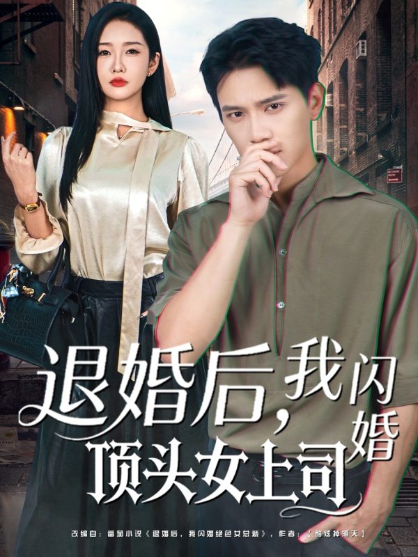 《退婚后,我闪婚顶头女上司》-VIP部落