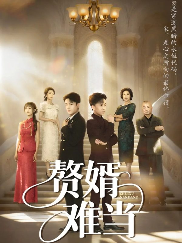 《赘婿难当》-VIP部落