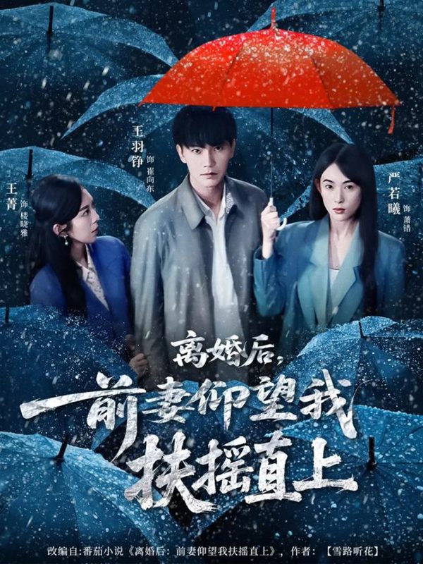 《离婚后,前妻仰望我扶摇直上》-VIP部落
