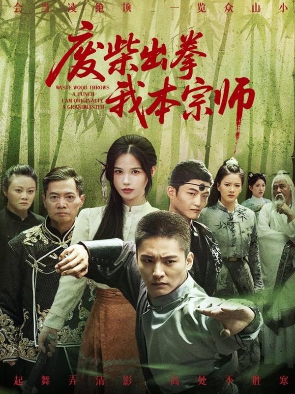 《废柴出拳我本宗师》-VIP部落