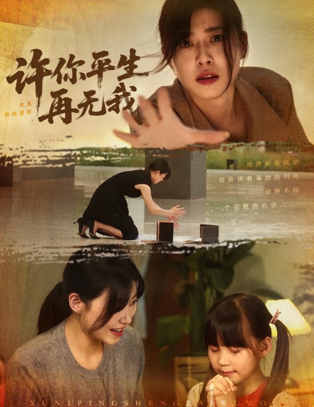 《许你平生再无我》-VIP部落