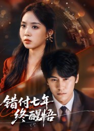 《错付七年终醒悟》-VIP部落