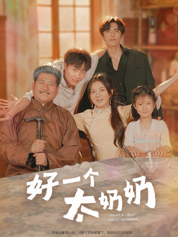 《好一个太奶奶》-VIP部落