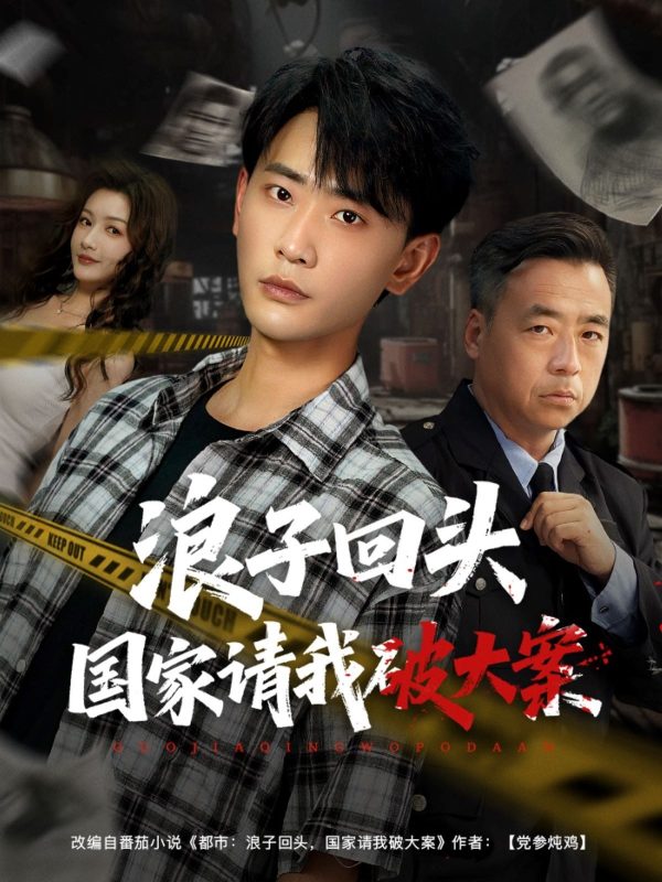 《浪子回头国家请我破大案》-VIP部落