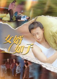《女婿如子》-VIP部落