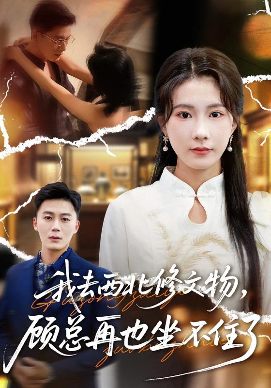 《我去西北修文物，顾总再也坐不住了》-VIP部落