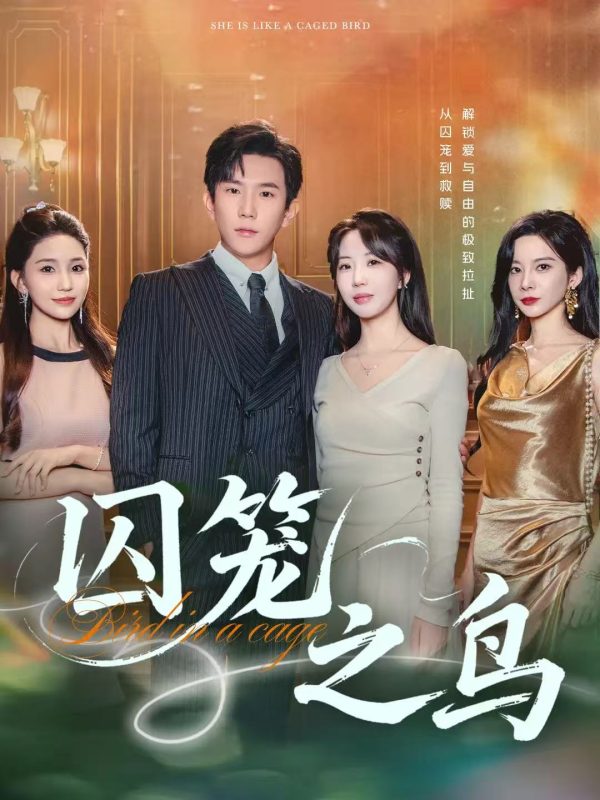 《囚笼之鸟》-VIP部落