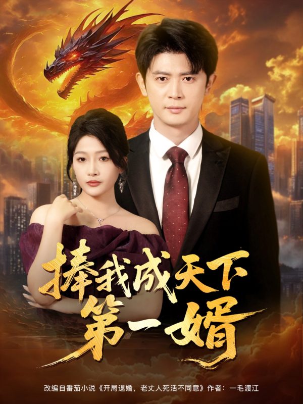 《捧我成天下第一婿》-VIP部落