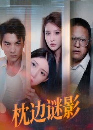 《枕边谜影》-VIP部落