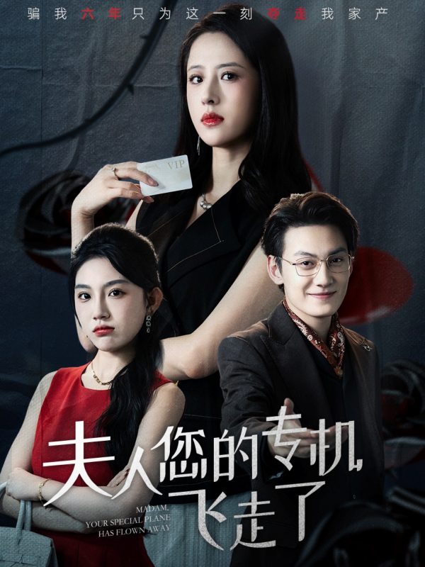 《夫人您的专机飞走了》-VIP部落