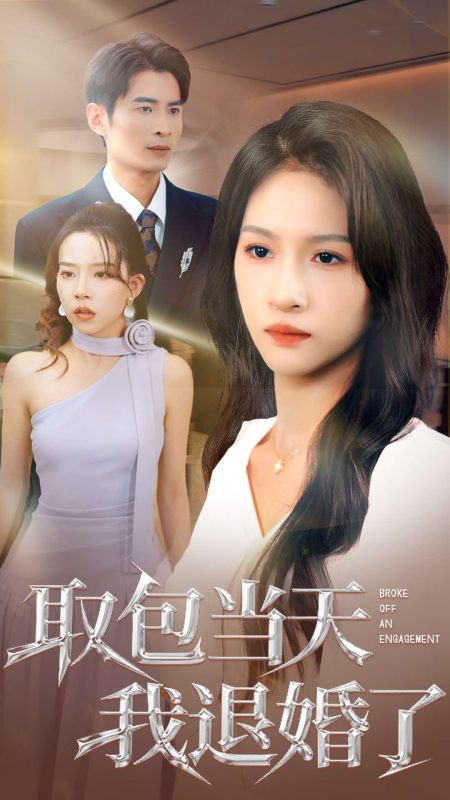 《取包当天我退婚了》-VIP部落