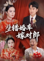《坐错婚车嫁对郎》-VIP部落