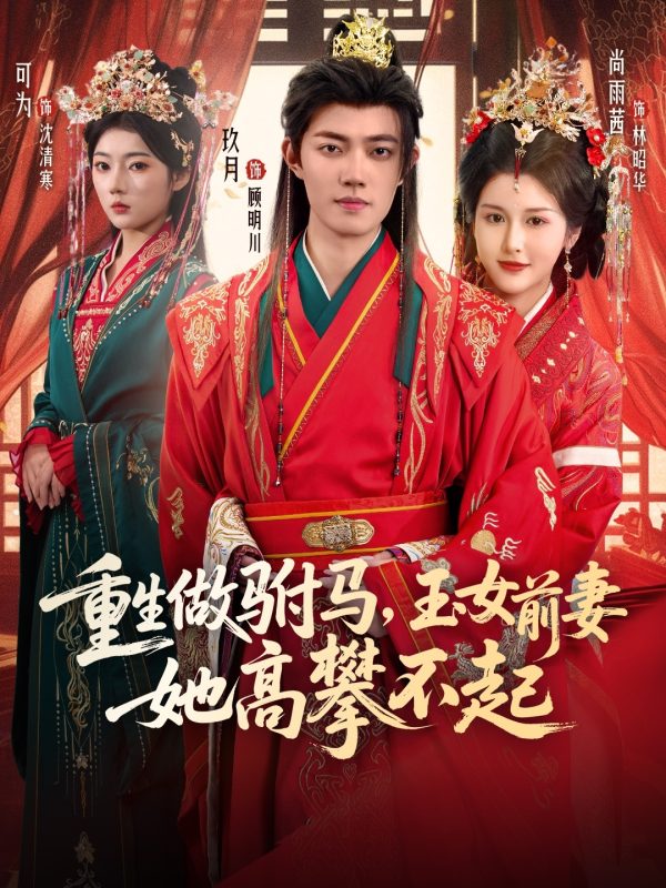 《重生做驸马，玉女前妻她高攀不起》-VIP部落