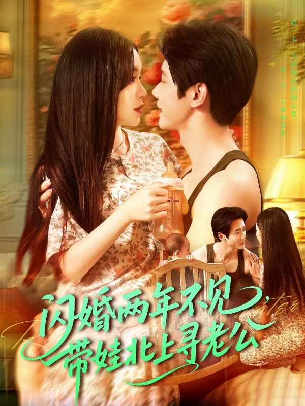 《闪婚两年不见带娃北上寻老公》-VIP部落