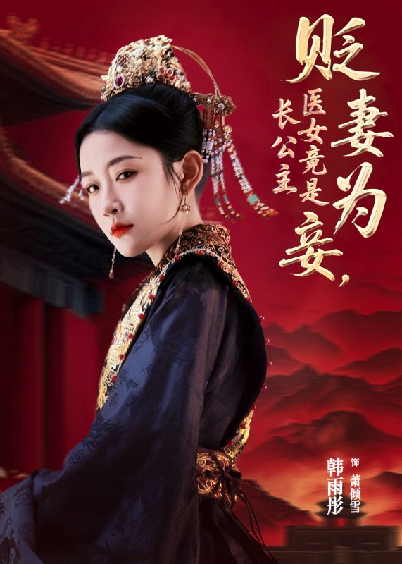 《贬妻为妾医女竟是长公主》-VIP部落