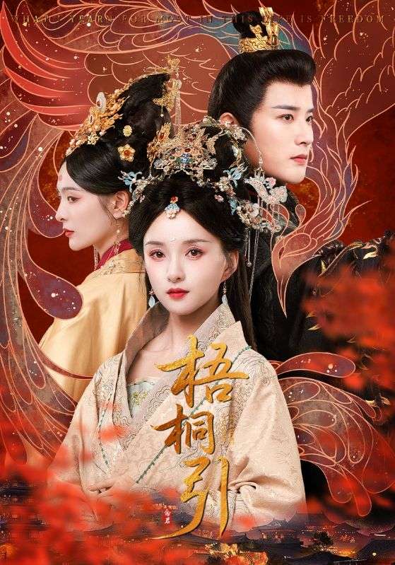 《梧桐引》-VIP部落