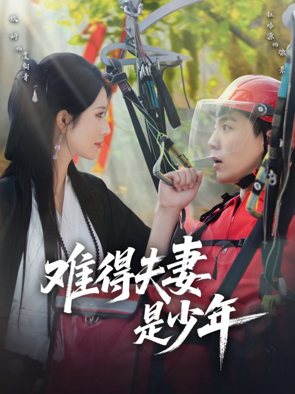 《难得夫妻是少年》-VIP部落