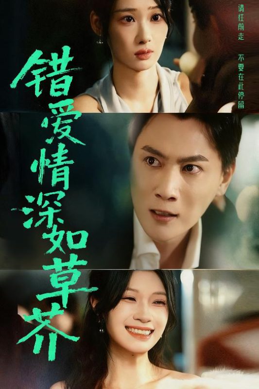 《错爱情深如草芥》-VIP部落