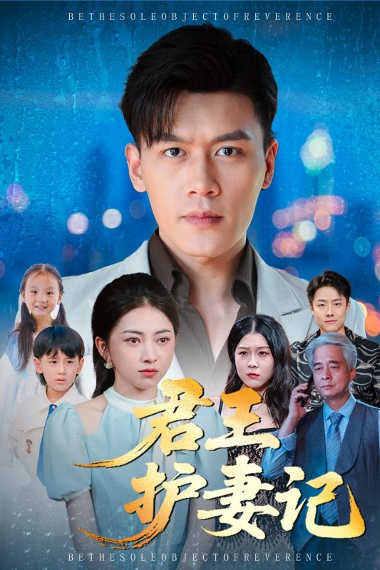《君王护妻记》-VIP部落