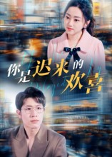 《你是迟来的欢喜》-VIP部落