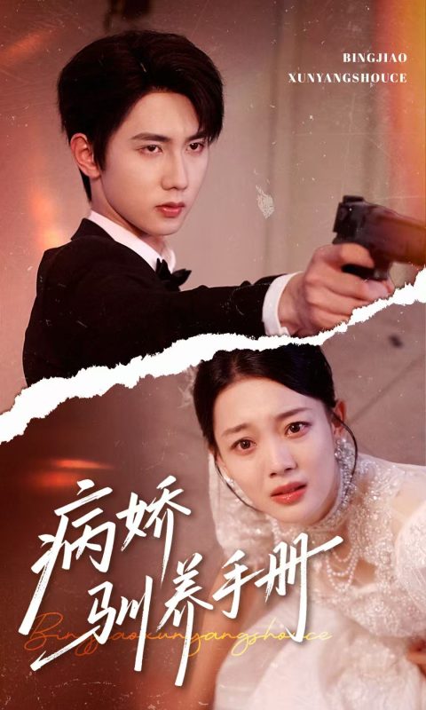 《病娇驯养手册》-VIP部落