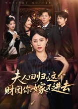 《夫人回归，这个财团你嫁不进去》-VIP部落