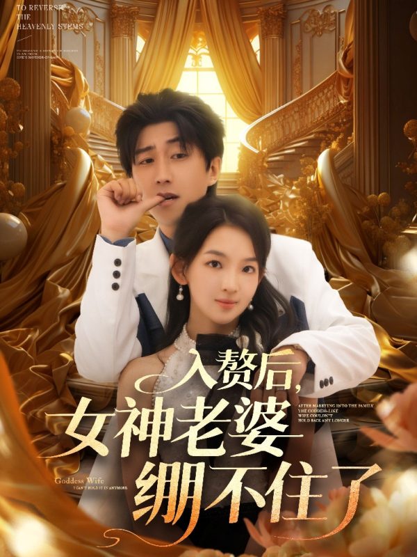 《入赘后女神老婆绷不住了》-VIP部落